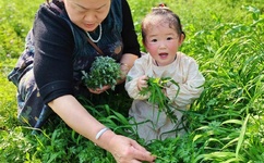 精品国产乱码久久久人妻